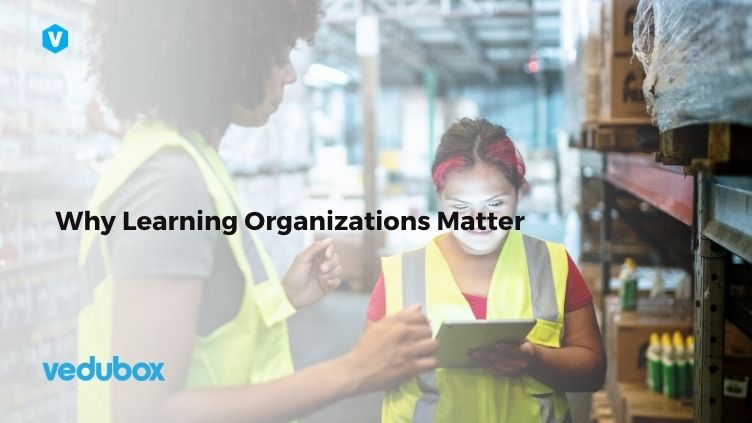 Why Learning Organizations Matter
